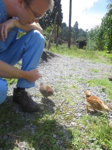 David playing with baby chicks outside the clinic
