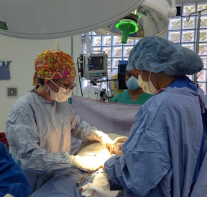 Dr. Lebo and Dr. Michelson performing a tubal ligation