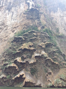 This formation is called the Christmas tree and is formed during the rainy season from small waterfalls